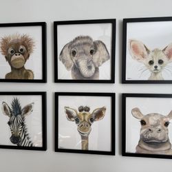 Baby Animal Framed art