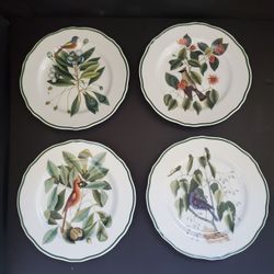 Andrea- Williamsburg Bird Salad Plates
