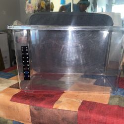 Fish Tank