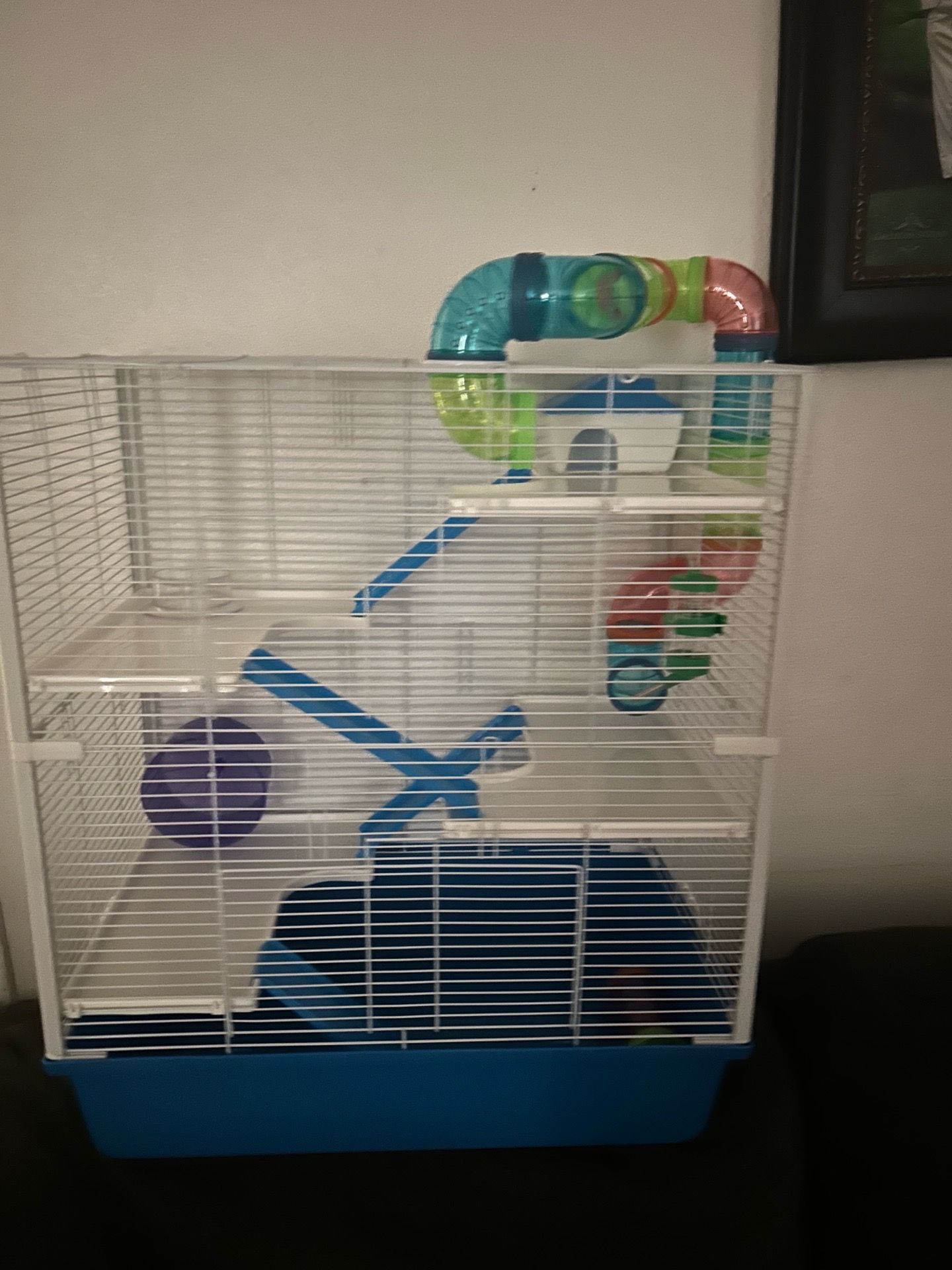 Large hamster cage
