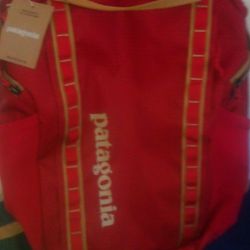 Patagonia  Backpacks