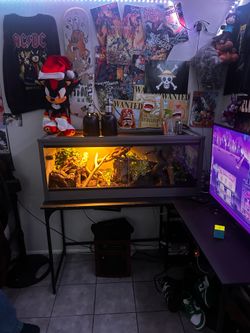 Snake Enclosure