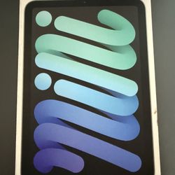 iPad Mini 6th Gen (128 Gb)