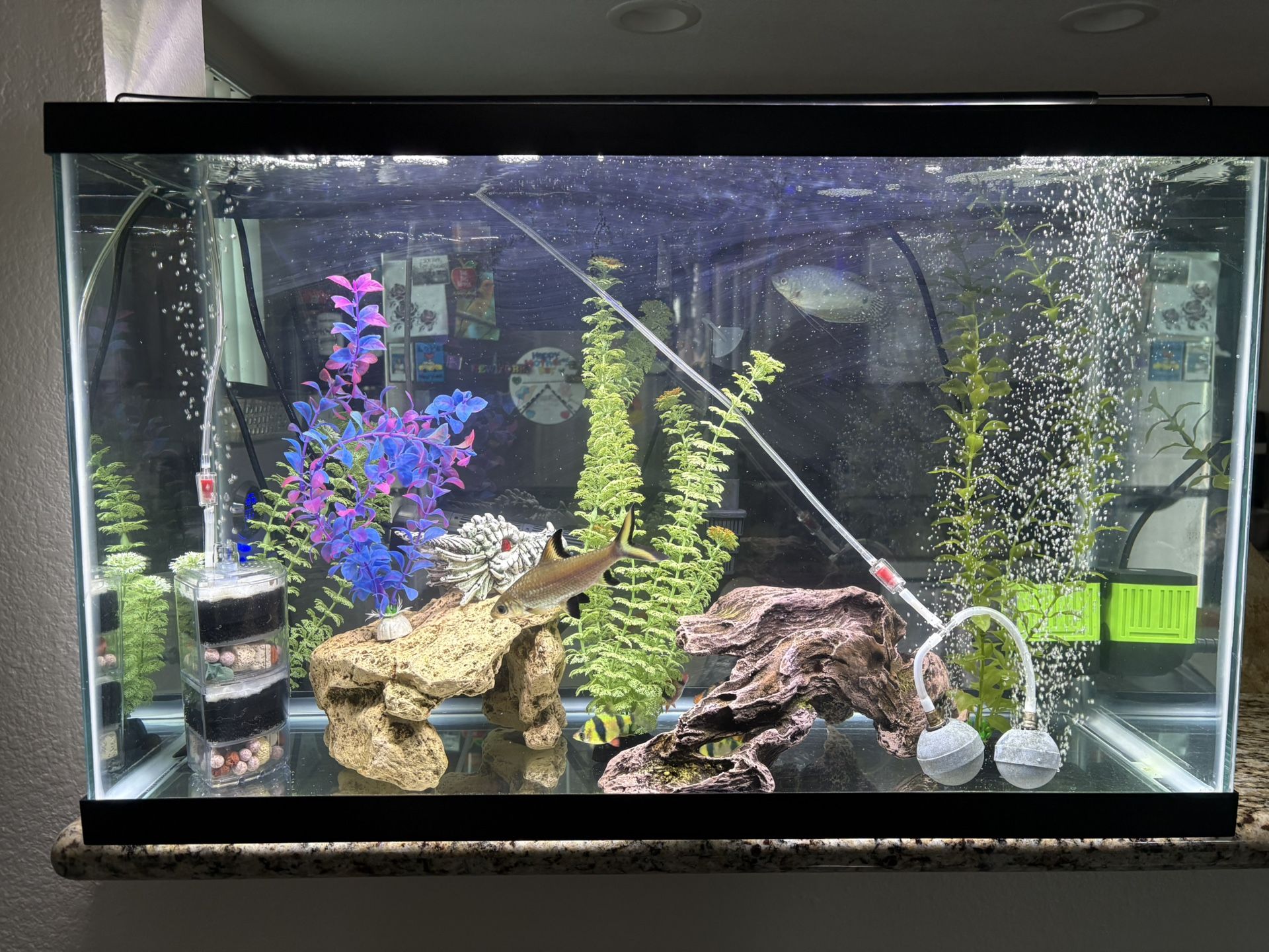 30 Gallons Fish Tank, Size Is 30 x 18,5 x 12