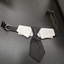 Dog Necktie And Collar (Small)