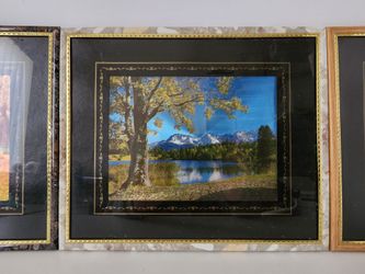 Nature Picture Frames