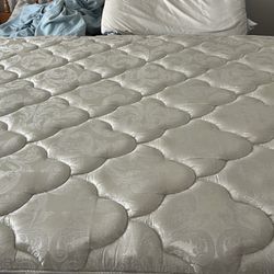 Full Size Mattress 
