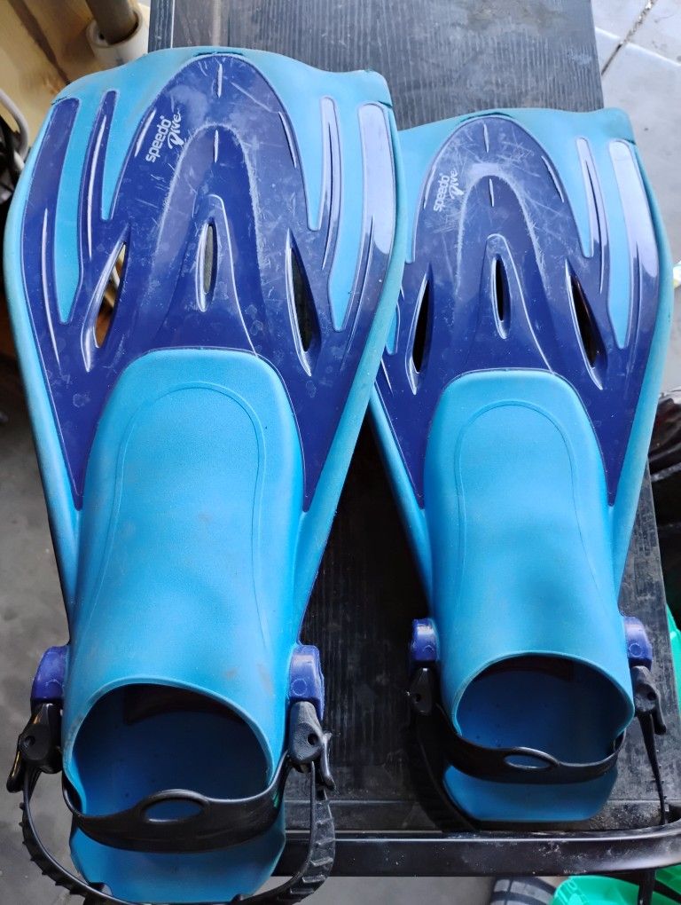 Toys🪀🧸🧮🐩🤿