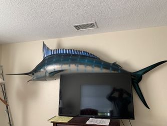 Blue marlin real skin mount