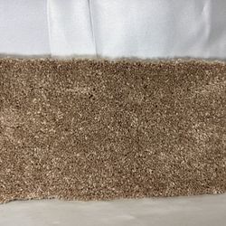 Brown Carpet 