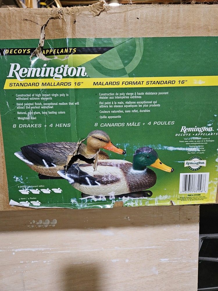 Decoys - Ducks
