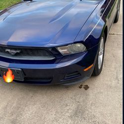2010 Ford Mustang