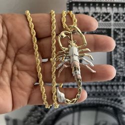 scorpion necklace 