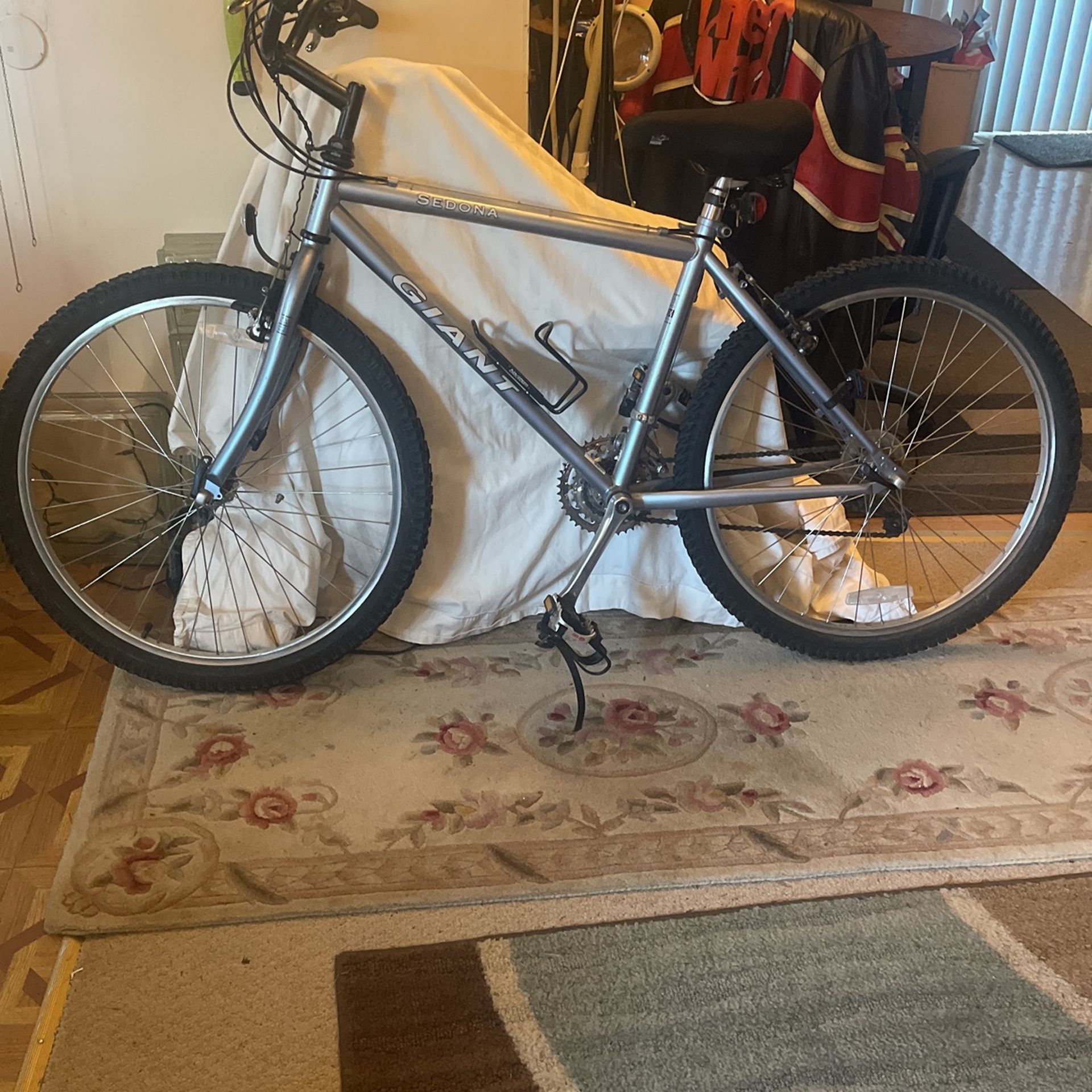 Giant 21 Speed Mountain Bike