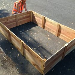 Cedar Raised Garden Beds Planters Driveway-Drop Off 