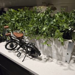 Artificial plants/decor