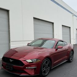 2019 Mustang Ecoboost 