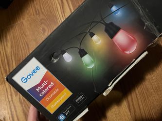 Govee Lynx Dream Multi-colored LED Bulb Outdoor String Lights 48ft | 30 bulb