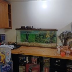 55 Gallon Glass Aquarium $150