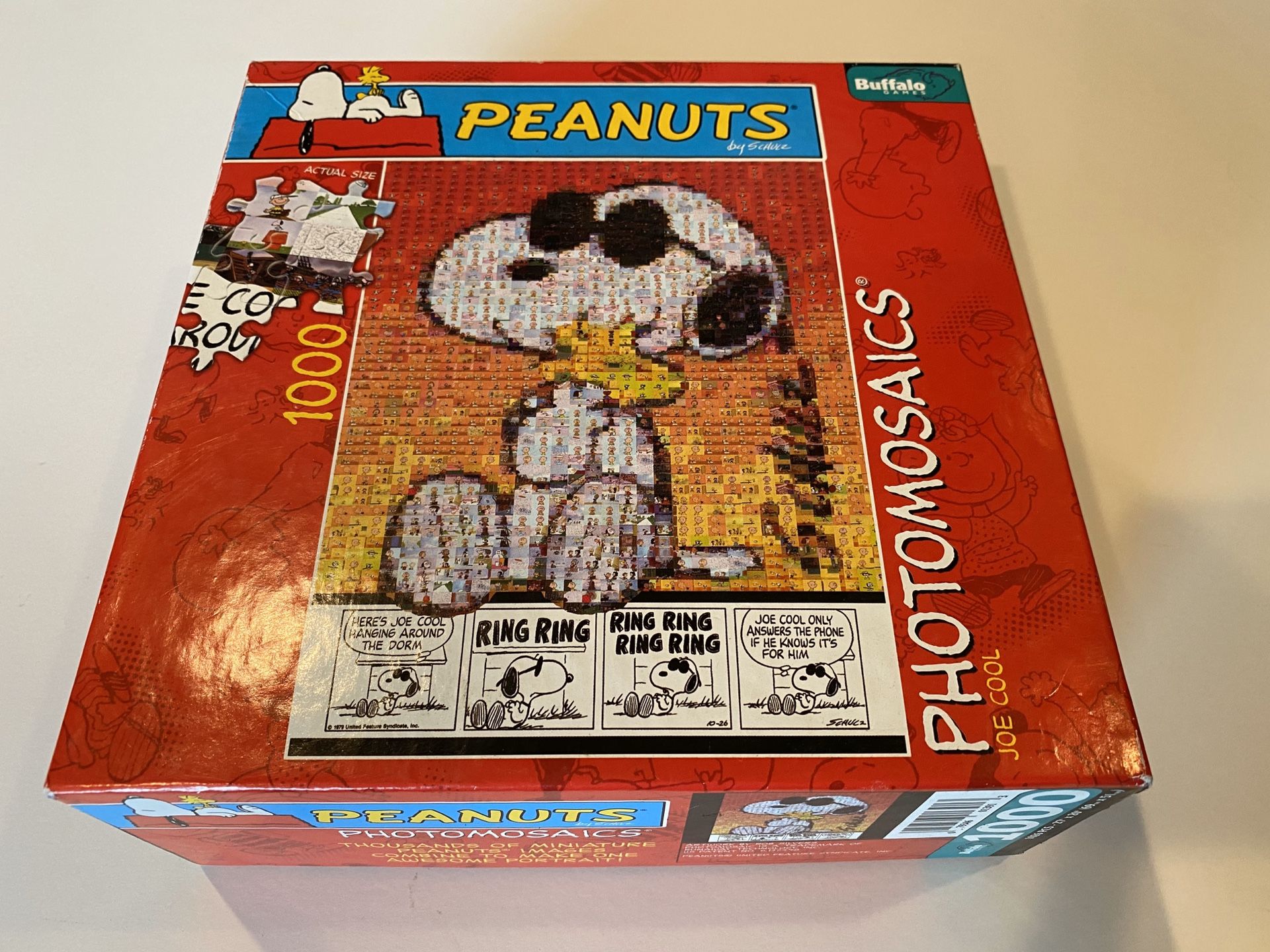 Peanuts Joe Cool Puzzle