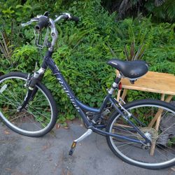 Raleigh Women's Bike