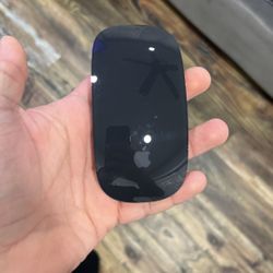 Apple Mouse 