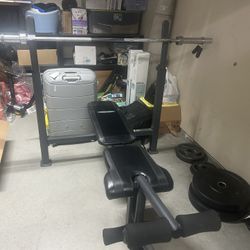 Flat Bench with Weights