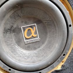 10 Inch Duall Voice Coil Woofer.