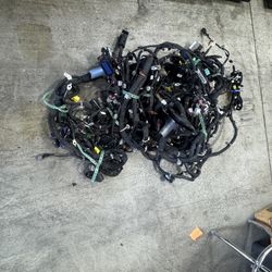 Complete Interior Body Wire Harness 2024 Honda Prologue 2WD OEM (contact info removed)7 / Excellent Condition 