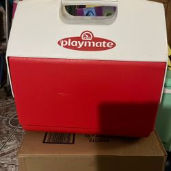 Igloo Playmate Ice Box