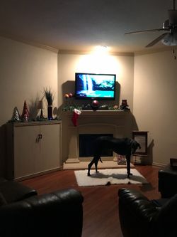 Wood Cabinet