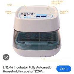 Incubator For Eggs