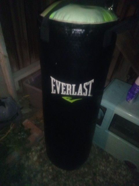 Everlast Punching Bag
