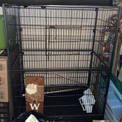 Parrot Cage