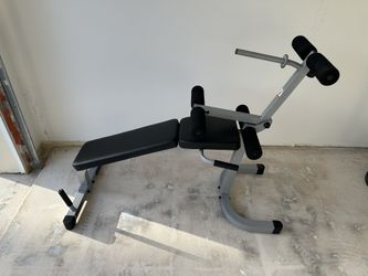 Leg Extension Curl