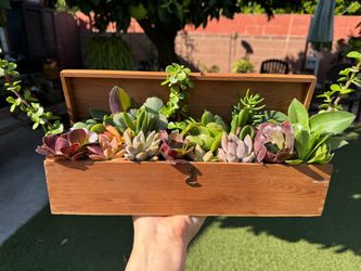 Unique Succulent Arrangement ❤️