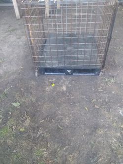 Portable dog kennel