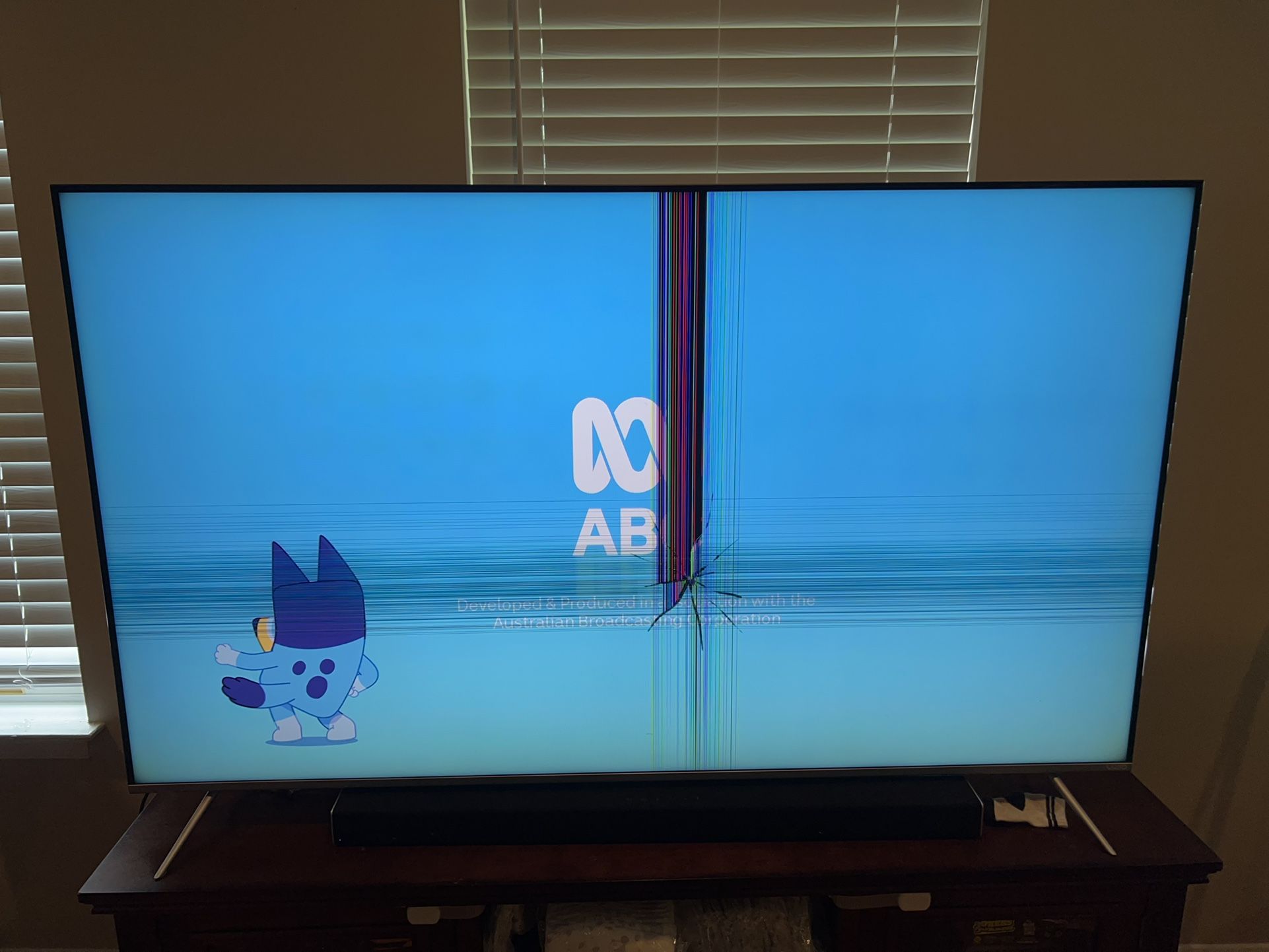 Damaged 4k Tv 65”