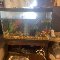 65 Gallon Fish Tank 