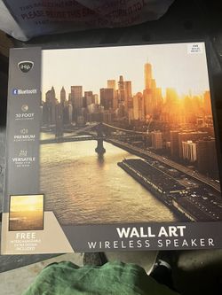 Wall Art Wireless Speaker Hanging Pic