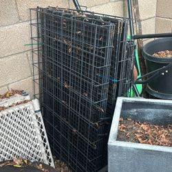 Dog Crates