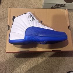 Jordan 12 Blueberry DS