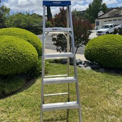 6 Foot Ladder 