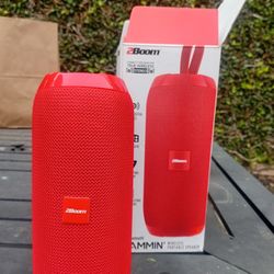 True Wireless Bluetooth 