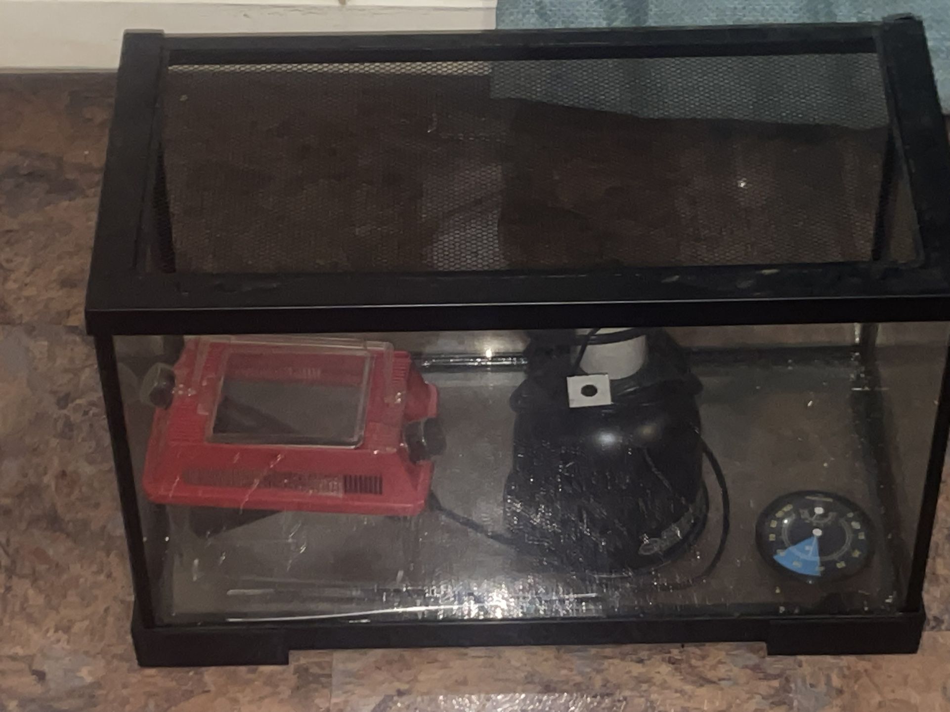 Bearded Dragon Tank
