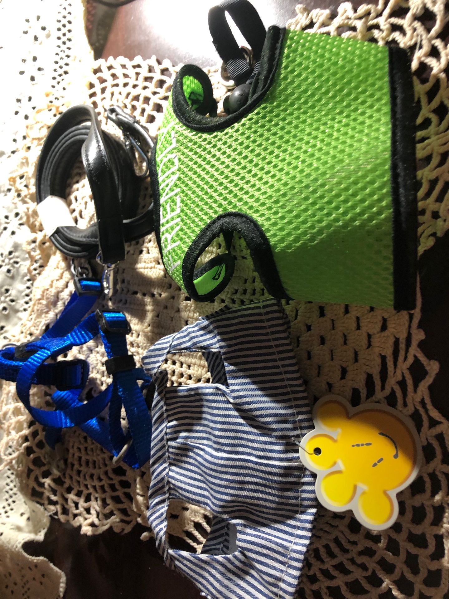 Under 5lbs dogs leash and harness