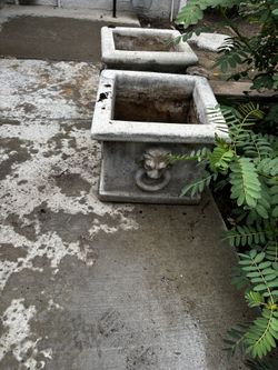 Planters, Concrete