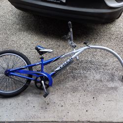 Trek Mountain Train Bike Trailer 