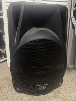 ATG 12 inch Bluetooth speaker