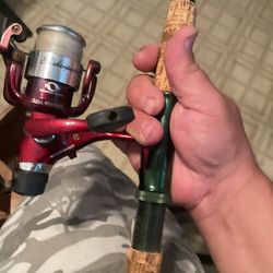 Shakespeare Reel With Diawa Fishing Pole